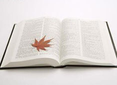 富勒姆主场告胜，积分榜前进